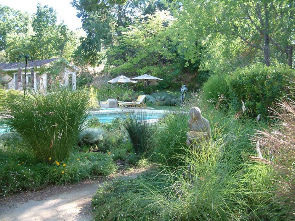 Tall Grasses and Pool