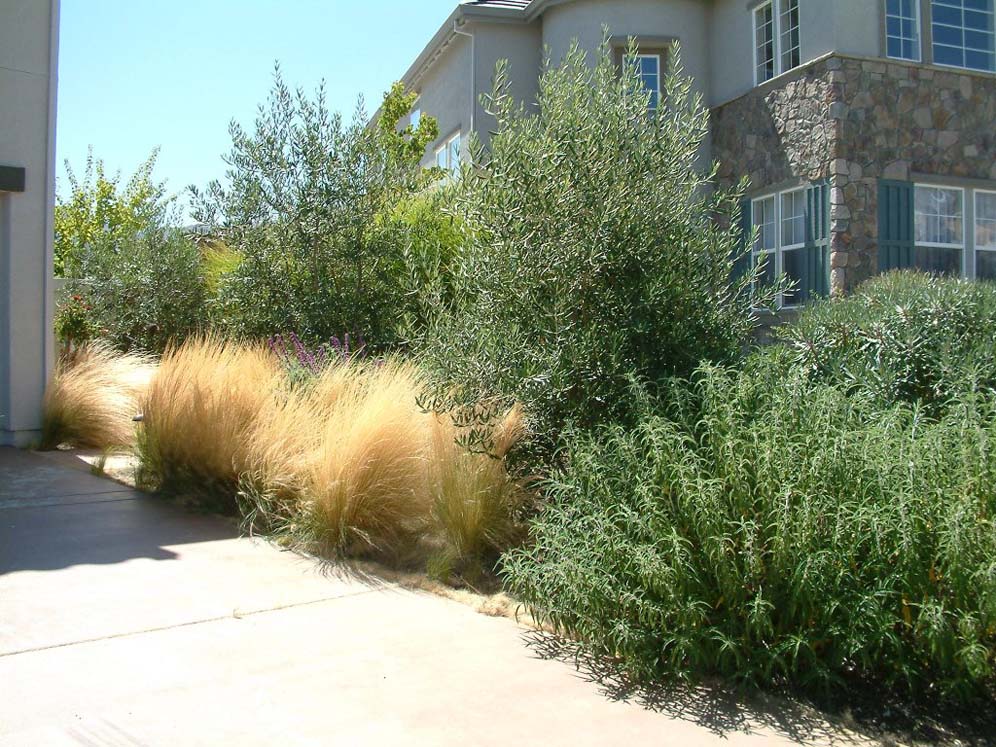 Right Side of Driveway