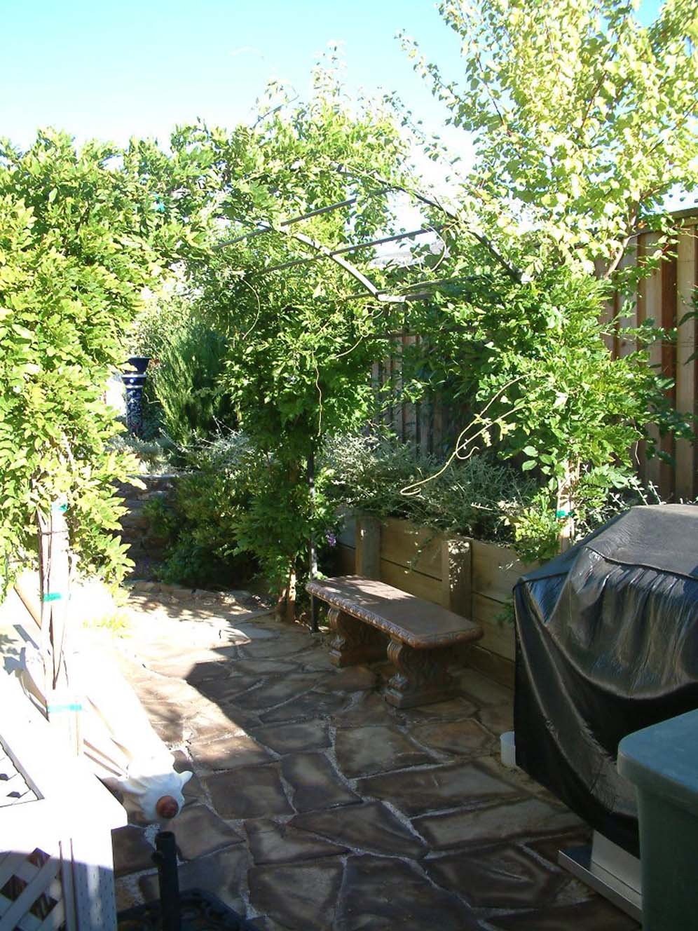 Side Yard Area