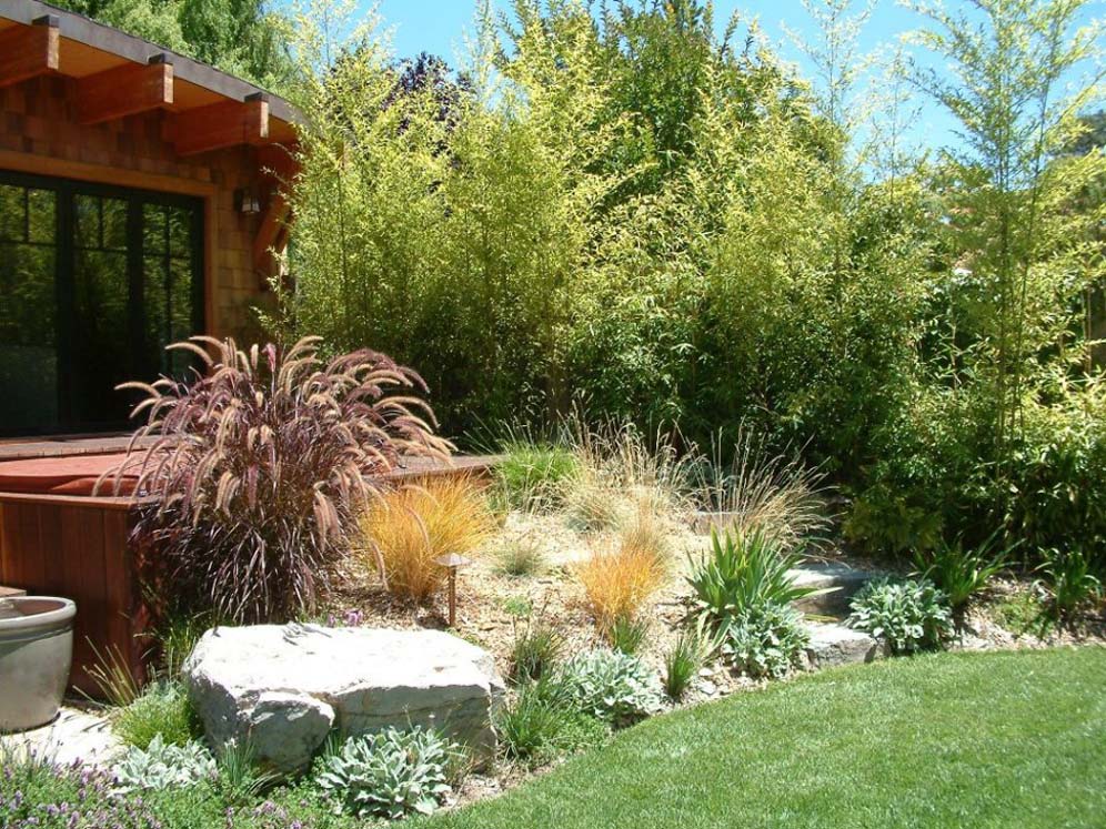 Fountain Grass Flanks Spa