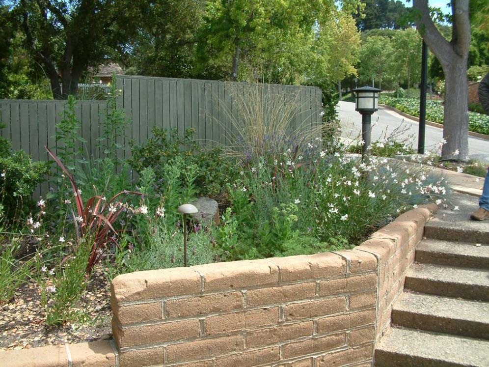 Retaining Wall and Steps