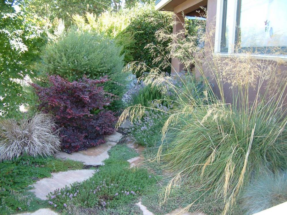 Garden Overtakes Walkway