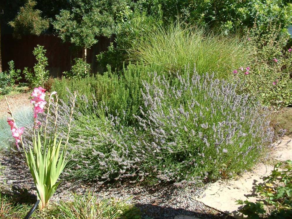 Pink and Lavendar Combination