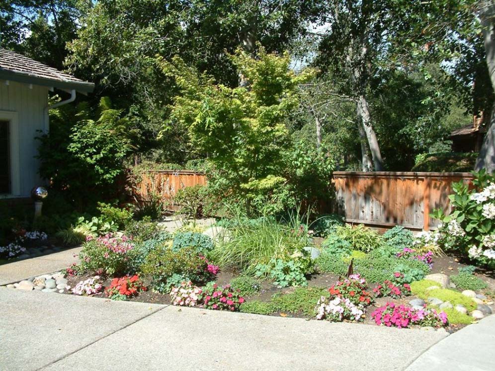 Colorful Backyard Garden