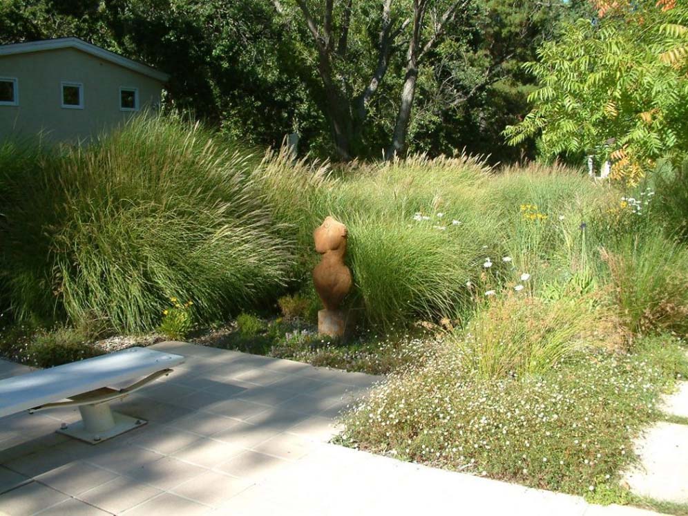 Missing-Head-Sculpture Garden