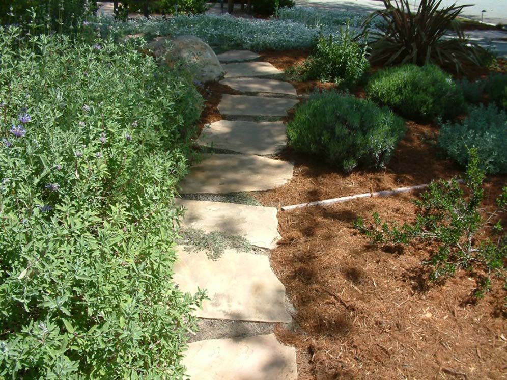 Close Up of Mulched Garden