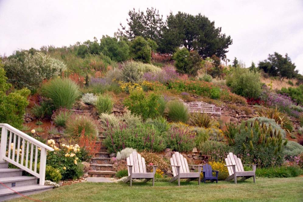 Colorful Hillside