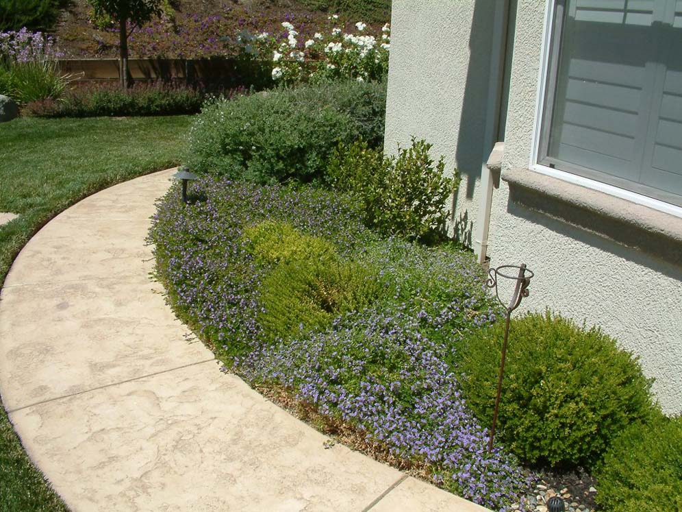 Manicured Walkway