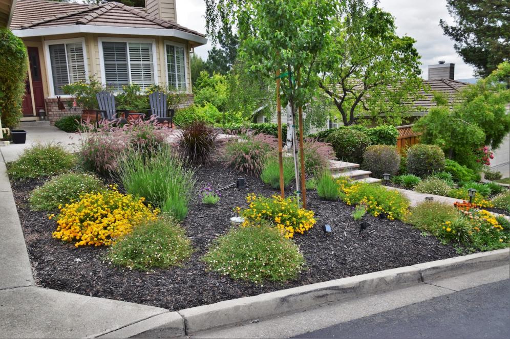 Well Mulched Garden