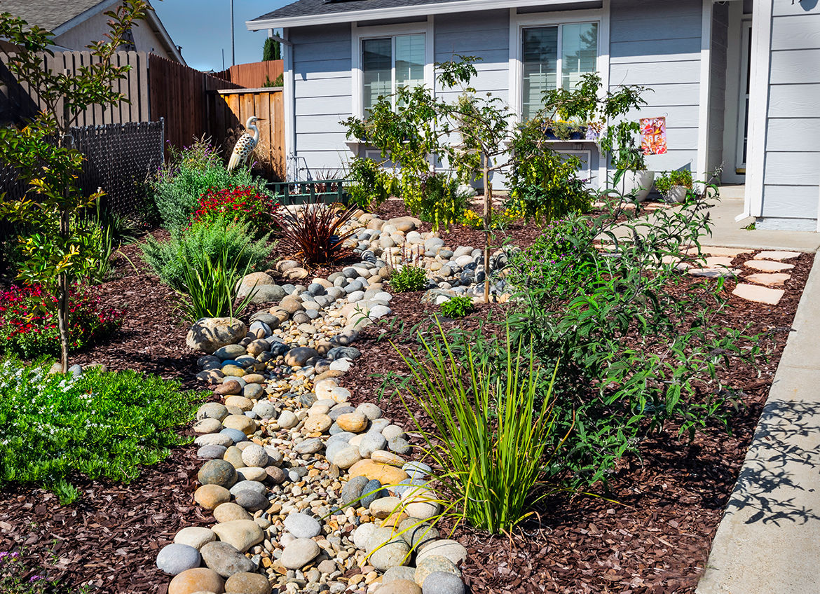 Narducci Dry Creek Bed