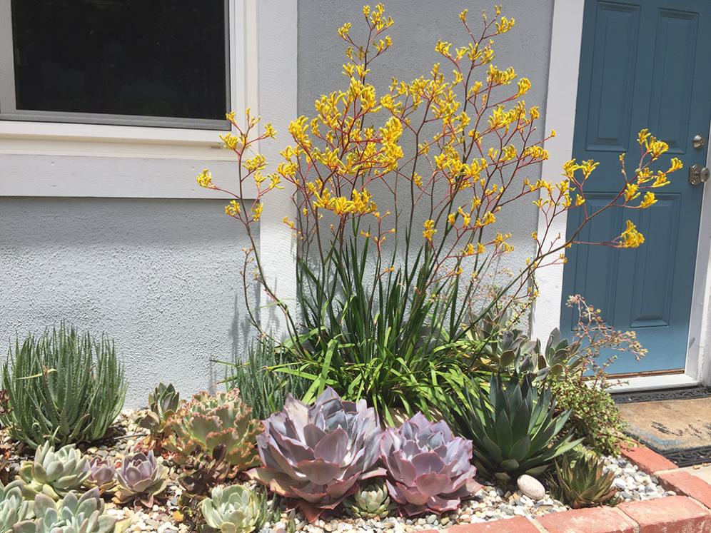 Small Bed Planting