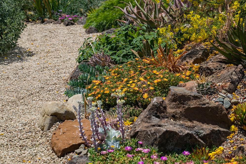 Gravel Pathway with Packed Edging