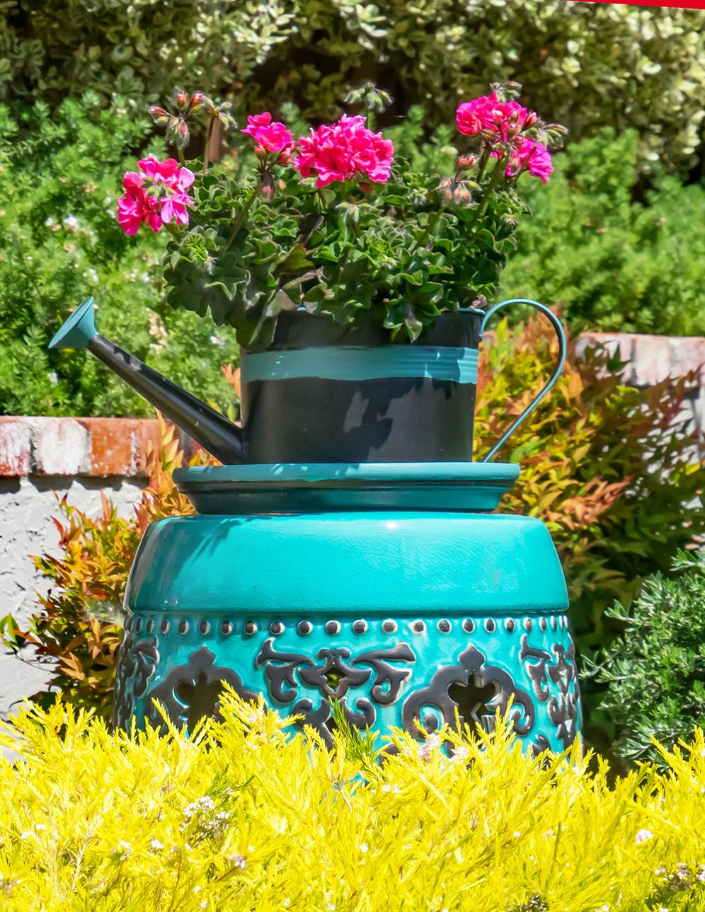 Flowering Watering Can