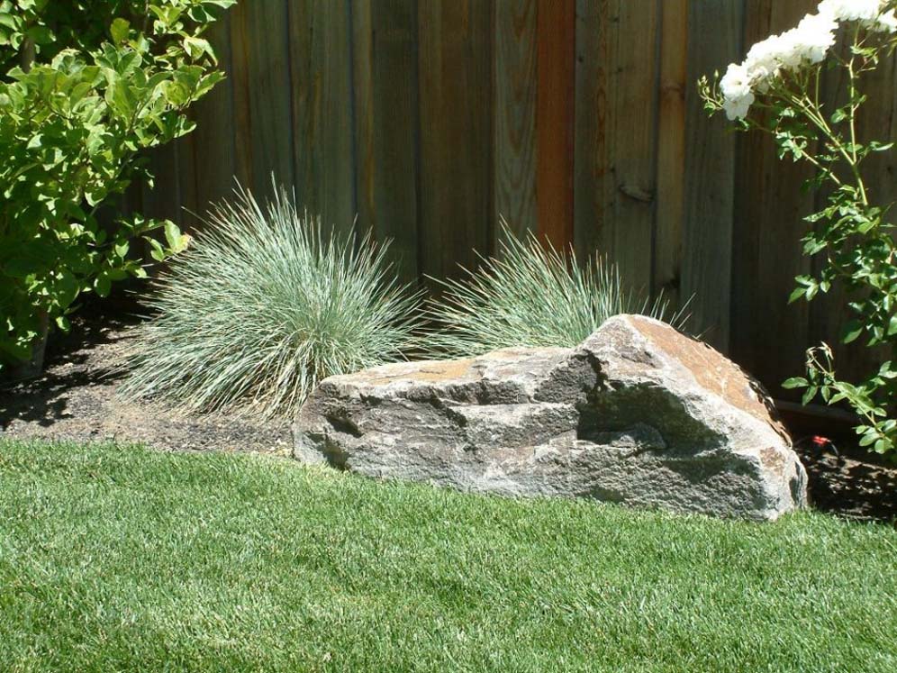 Grass and Rocks