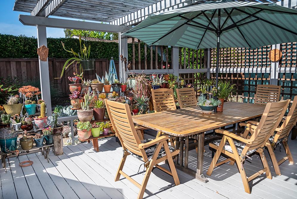 Patio With Potted Friends