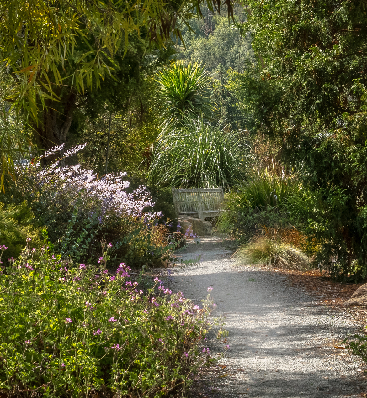 Wide Meandering Path