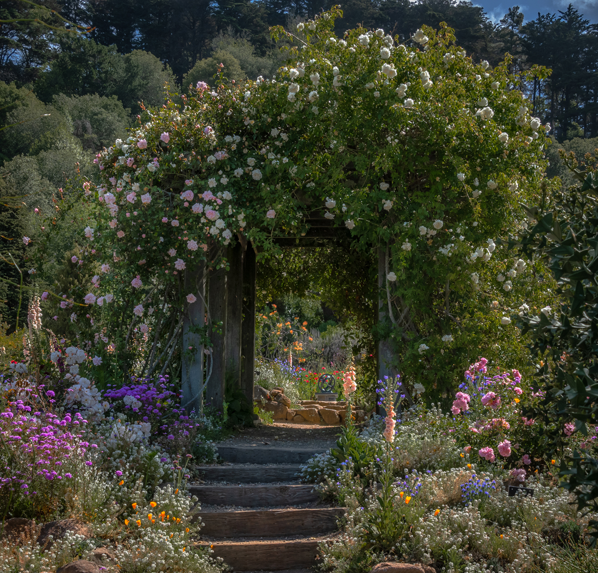 Romantic Rose Arbor