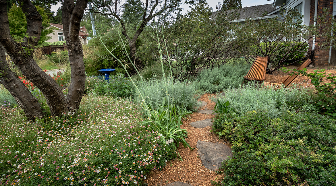 Path to Lounging Area