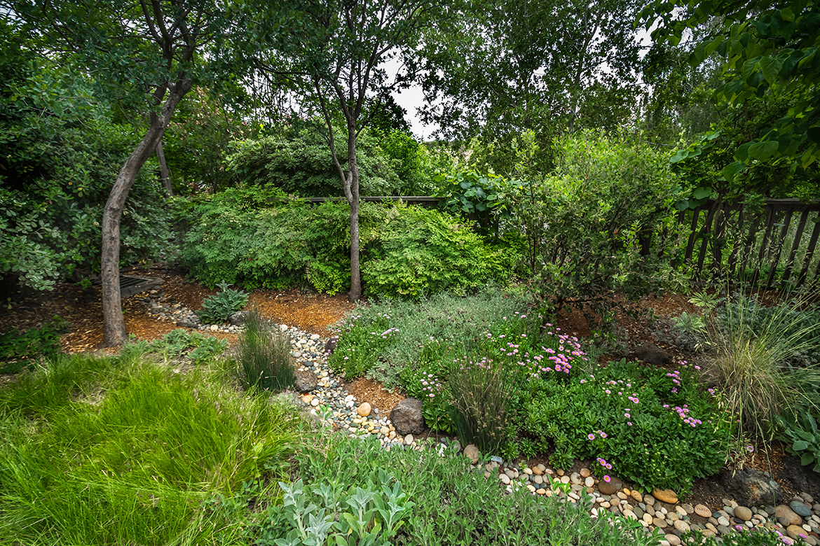 Winding Dry Creek Bed