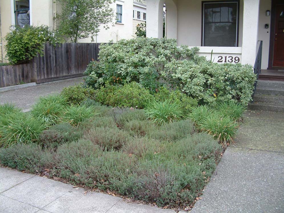 Small Space Gardening