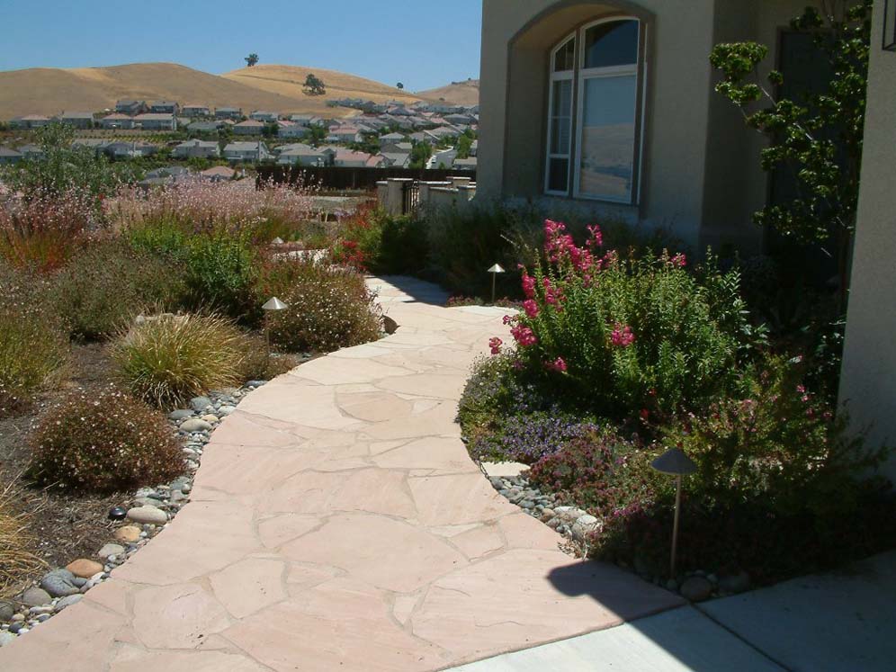 Rock and Shrub Lined Pathway