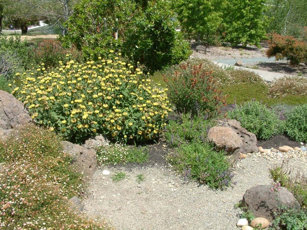 Yellow Explosion Amidst Rocks