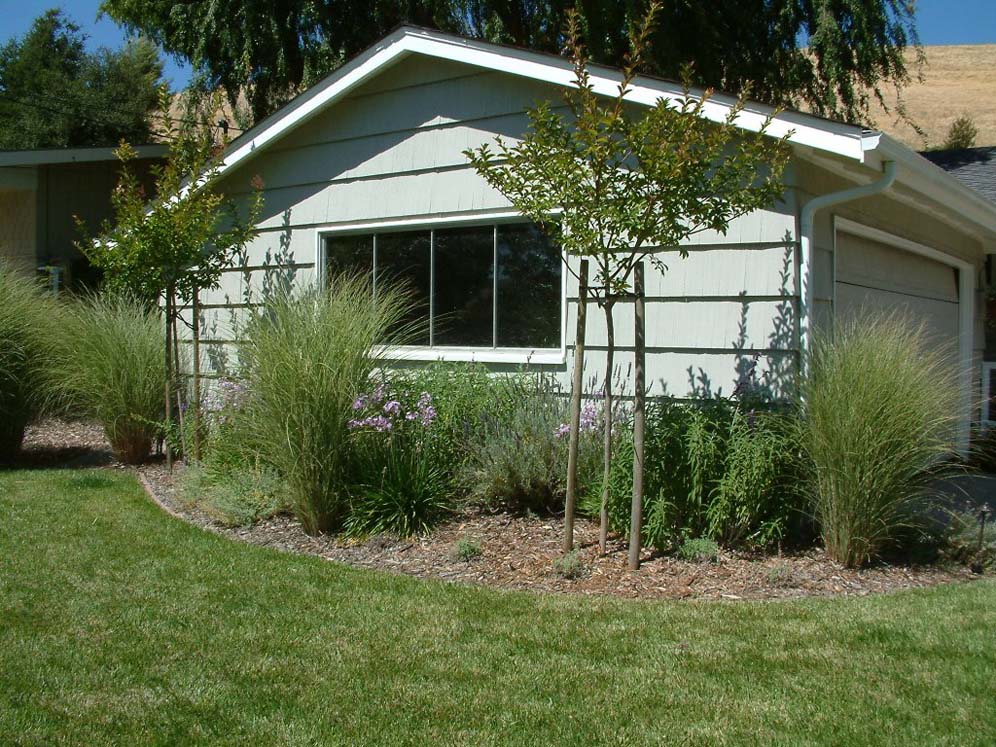 Garden By the Garage