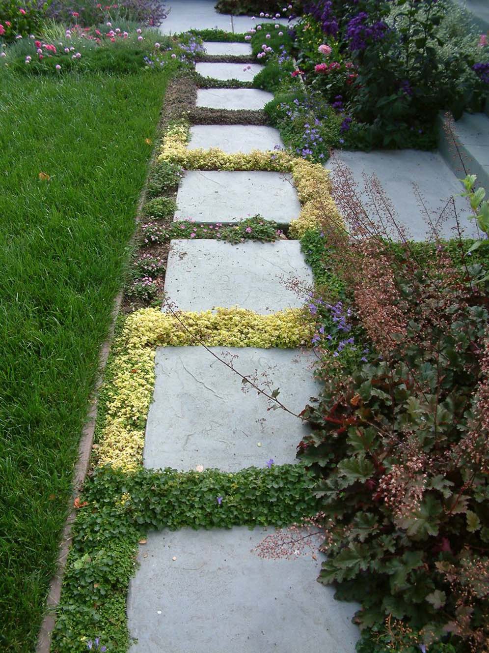 Color Border Between Steps